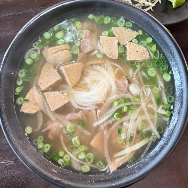 Close-up of a bowl of Vietnamese pho with noodles, meat, tofu, and green onions.